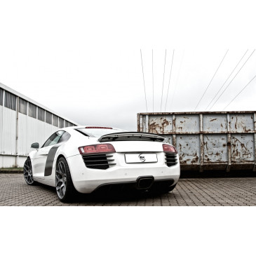 RH ALURAD RSone sterlingsilber lackiert