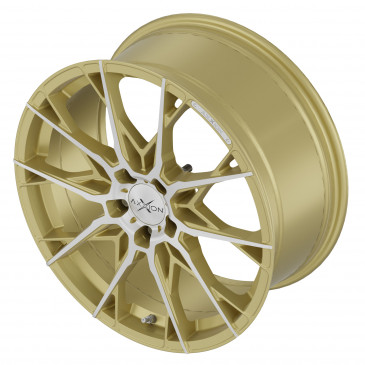 AXXION X1 Gold Matt poliert