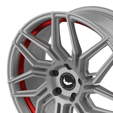 BARRACUDA Dragoon Silver undercut Trimline red