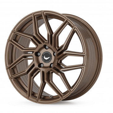 BARRACUDA Dragoon Higloss-Bronze