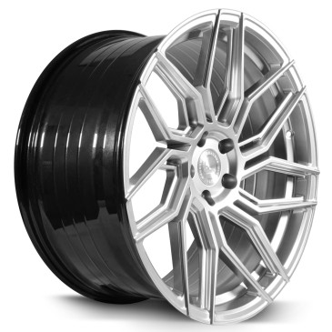 BARRACUDA Dragoon Silver