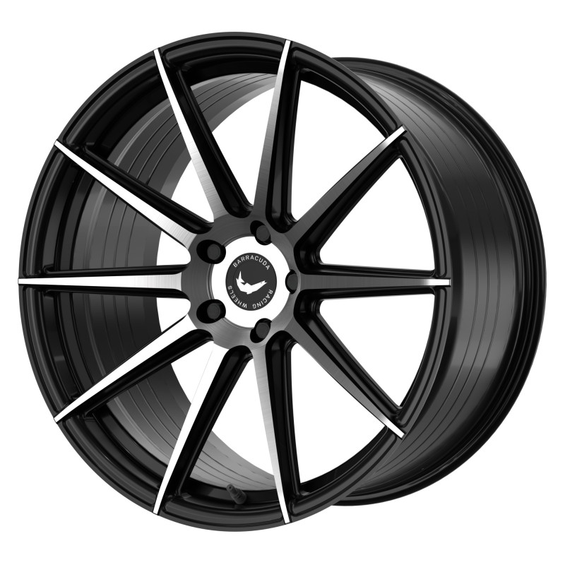 BARRACUDA Project 2.0 Higloss-Black brushed Surface