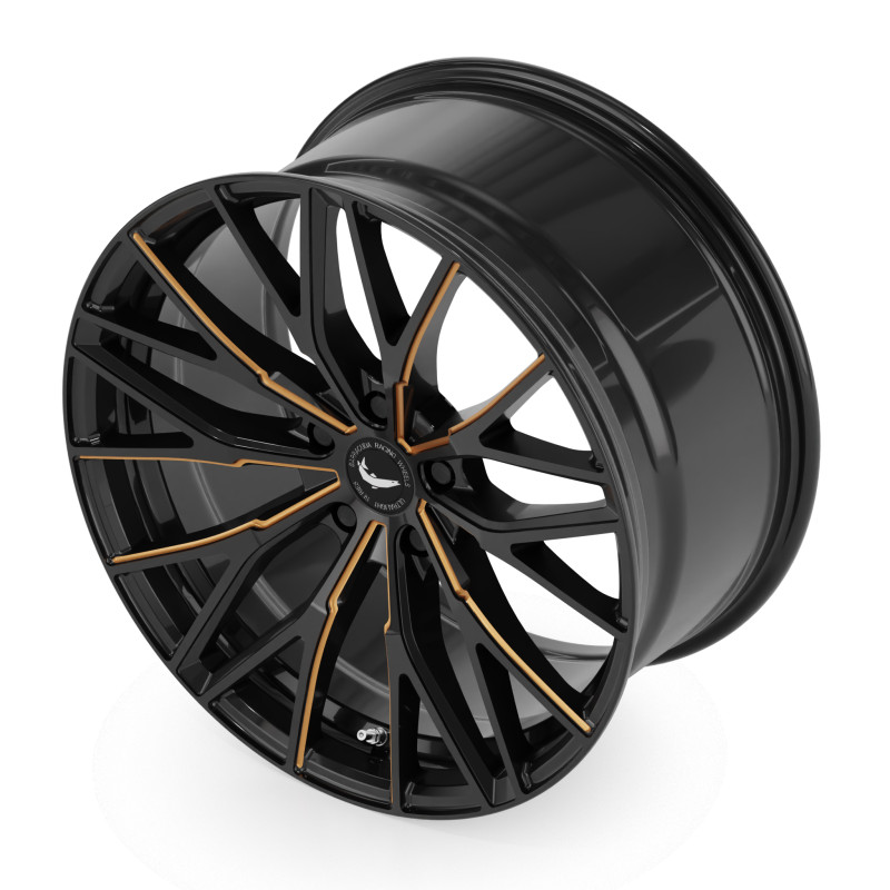 BARRACUDA Project 3.0 Black gloss flashcopper