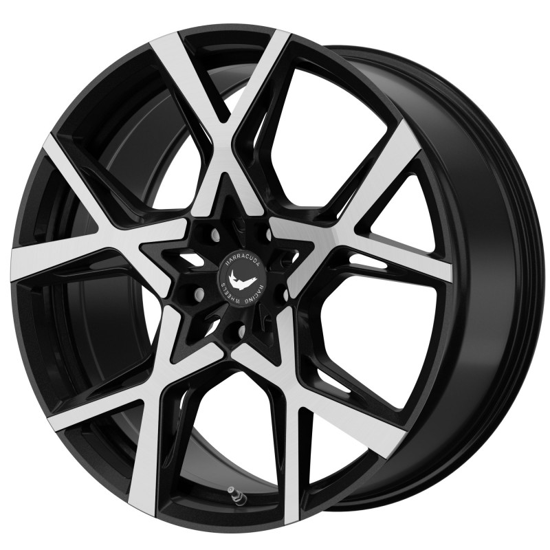 BARRACUDA Project X Black brushed Surface