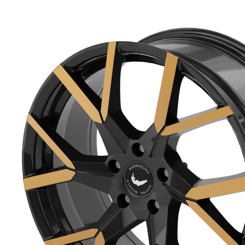 BARRACUDA Tzunamee Evo Black gloss flashcopper