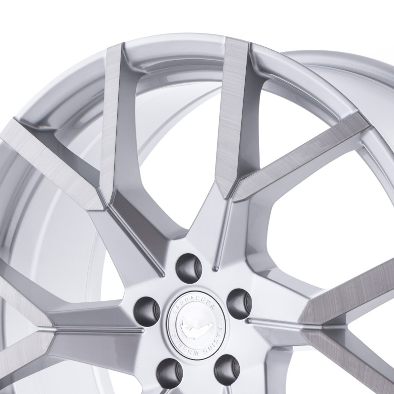 BARRACUDA Tzunamee Evo Silver brushed