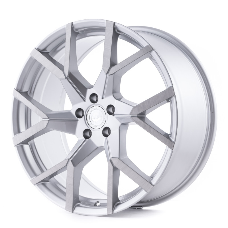 BARRACUDA Tzunamee Evo Silver brushed