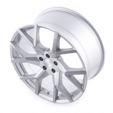 BARRACUDA Tzunamee Evo Silver brushed