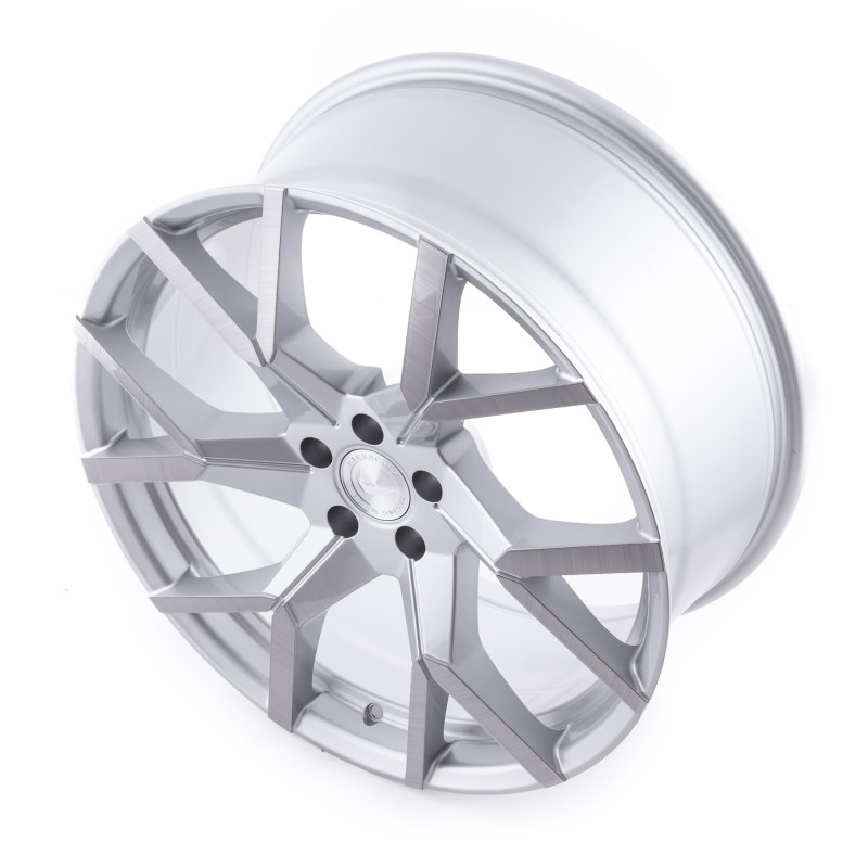 BARRACUDA Tzunamee Evo Silver brushed