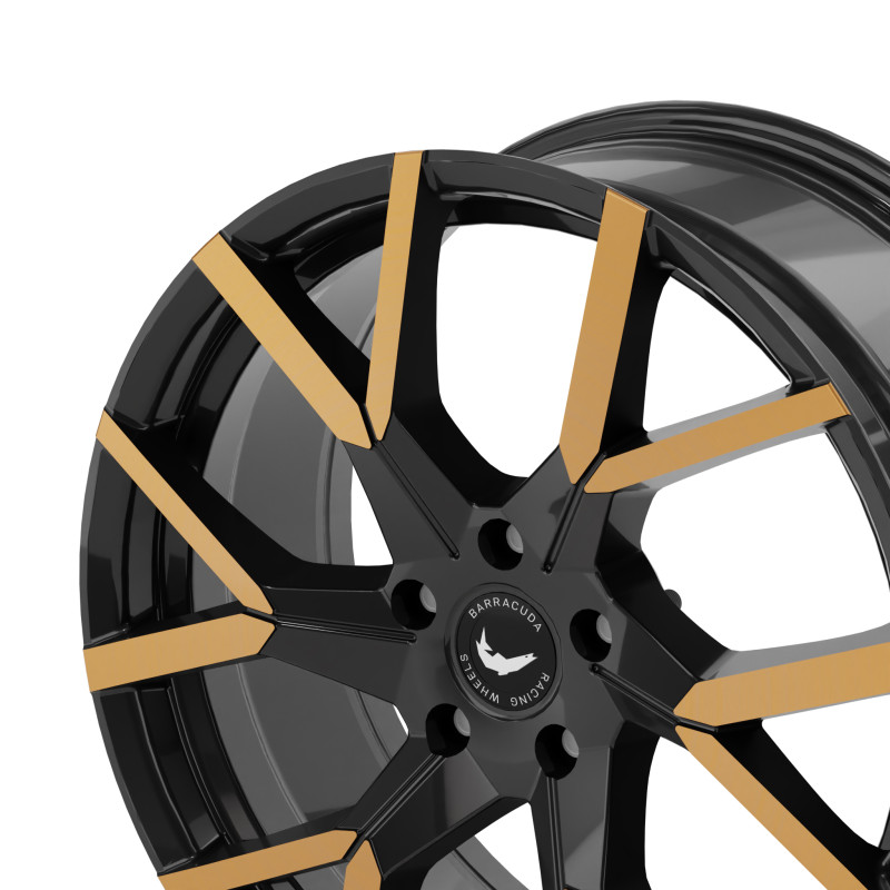 BARRACUDA Tzunamee Evo Black gloss flashcopper