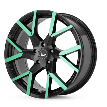 BARRACUDA Tzunamee Evo Black gloss flashgreen