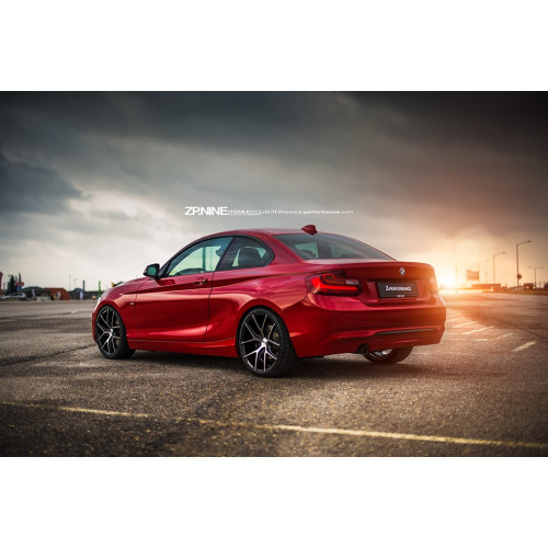 Z-Performance ZP3.1 FlowForged Sparkling Silver
