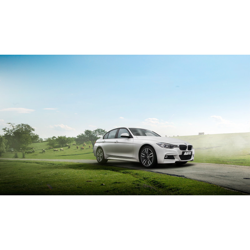 Z-Performance ZP7.1 Champagne (Custom Finish)