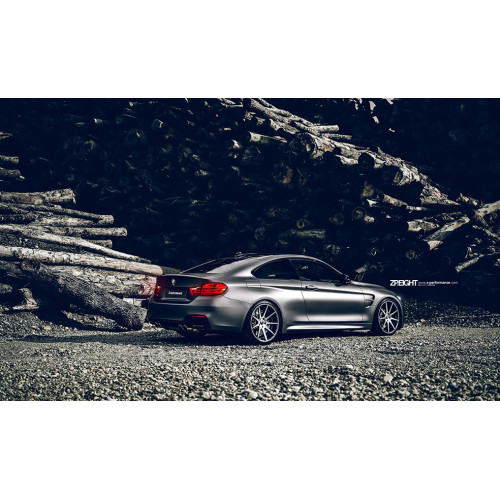 Z-Performance ZP3.1 FlowForged Sparkling Silver