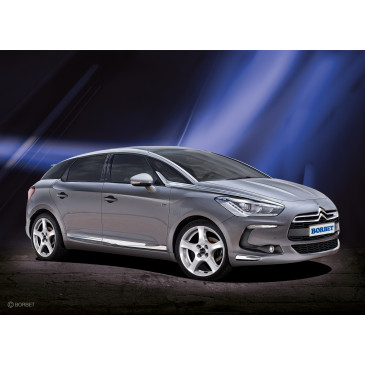 Borbet F brilliant silver
