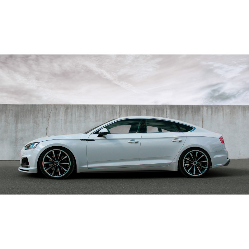 Z-Performance ZP3.1 FlowForged Sparkling Silver