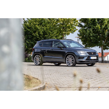 Corspeed Deville Silver-brushed-Surface