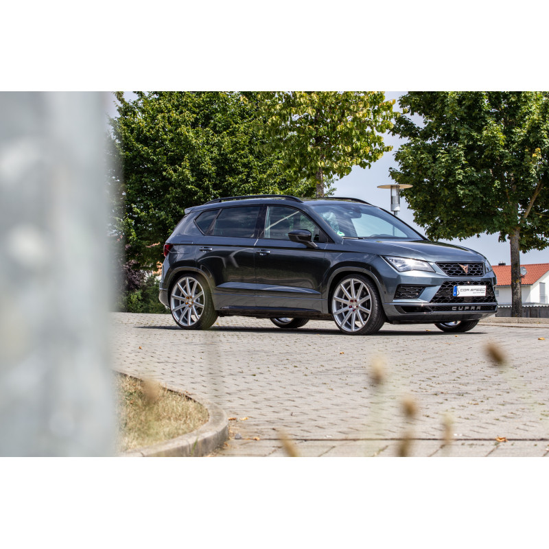 Corspeed Deville Silver-brushed-Surface