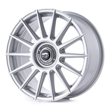 Damina Performance DM09 Silver painted