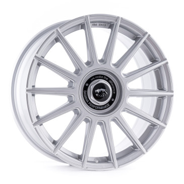 Damina Performance DM09 Silver painted