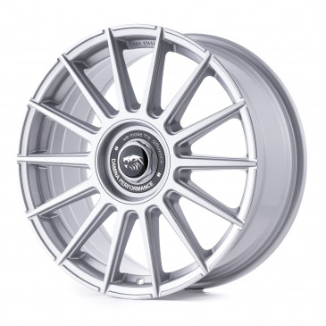 Damina Performance DM09 Silver painted