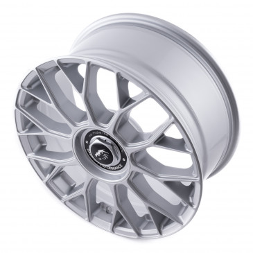 Damina Performance DM10 silver painted