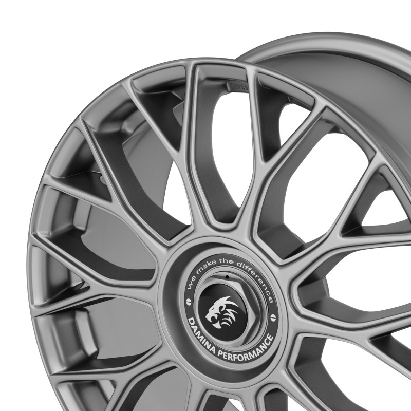 Damina Performance DM10 Grey Matt