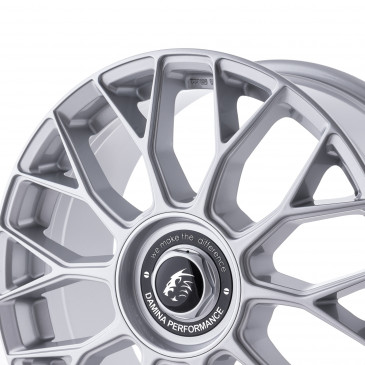 Damina Performance DM10 silver painted