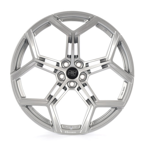 MSW 53 HYPER SILVER