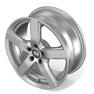 MSW 55 FULL SILVER