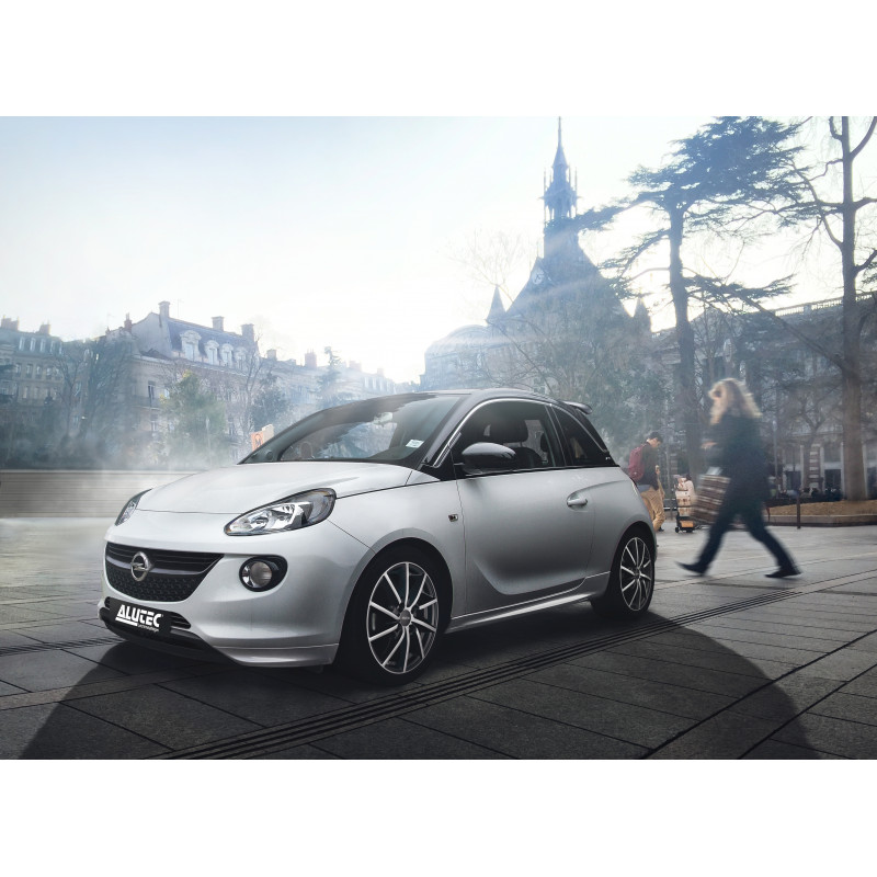 ALUTEC Singa polar-silber