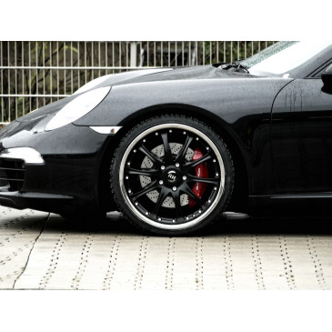 RH ALURAD RAK Phönix silber/Horn Edelstahl