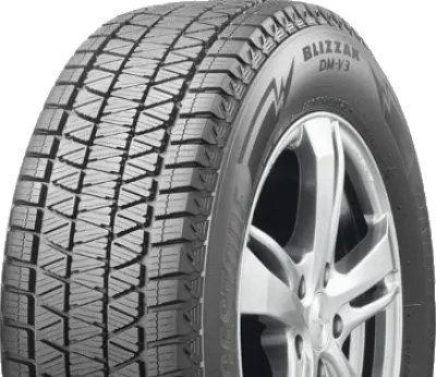BRIDGESTONE Blizzak DM-V3
