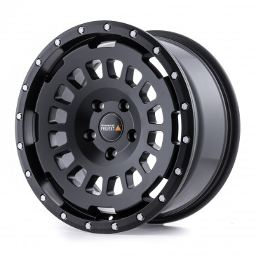 Twin Monotube Projekt FE-AT Seidenmatt schwarz