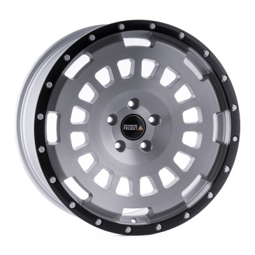 Twin Monotube Projekt FE-AT20 Silber gebuerstet schwarz