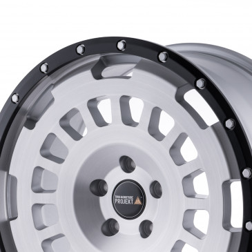 Twin Monotube Projekt FE-AT20 Silber gebuerstet schwarz