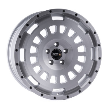 Twin Monotube Projekt FE-AT20-MONOBLOC Silber gebuerstet