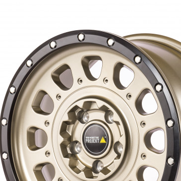 Twin Monotube Projekt FE-AT3 Terra