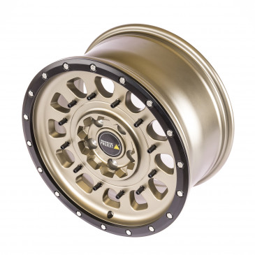 Twin Monotube Projekt FE-AT3-VSB Terra